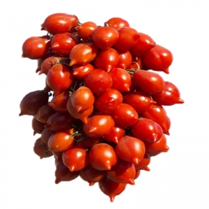Tomato Piennolo Vesuv (Cluster 5 Kg)