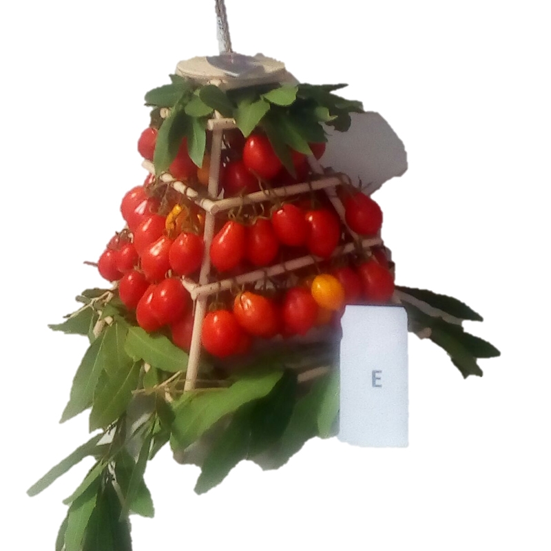 Vesuvius Piennolo tomato in Vesuvius bell - Not available