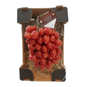Ferrara Azienda agricola Tomates cherry Piennolo del Vesuvio DOP en racimos en caja de cartón negra 1,5 kg.
