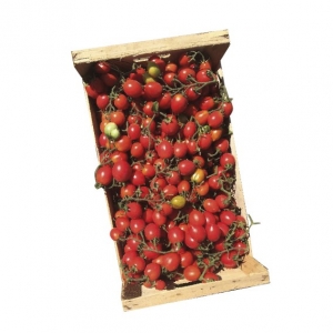 Ferrara Azienda agricola Piennolo del Vesuvio DOP-Tomate, verpackt in 5 kg Holzplatten.